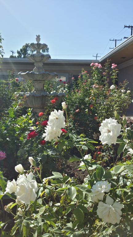 Kearney Motel Лонг Бийч Екстериор снимка